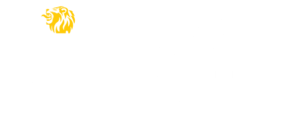 The Original Pro Paint Paddle